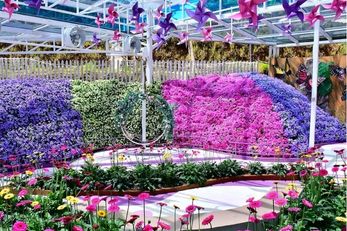 Agro Market 金马仑打卡