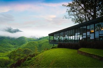 BOH茶坊