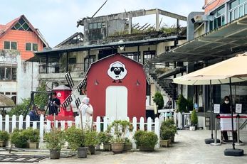 The Sheep Sanctuary