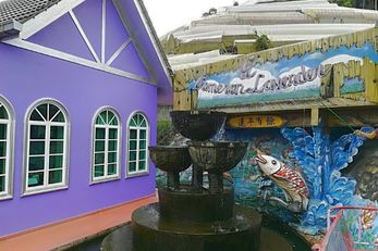 金马仑薰衣草花园 金马仑景点